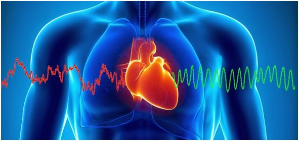 https://triskirun.ru/wp-content/uploads/2016/07/anatomy-male-coherence-crop-758x355.jpg
